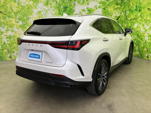 NX250 バージョンL