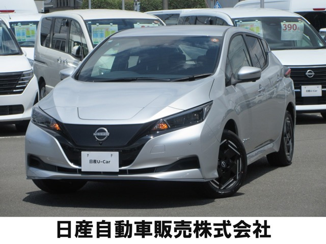 リーフe+ X
