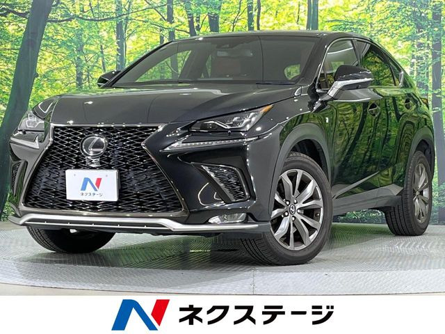 NX300 Fスポーツ