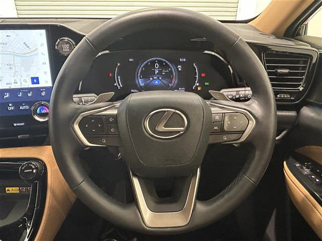 NX250 バージョンL