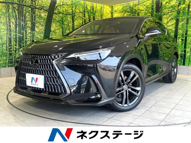 NX250 バージョンL