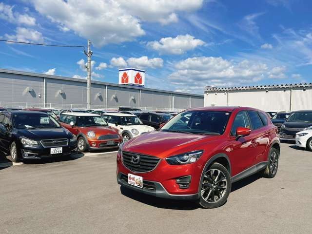 �y39.8���X�J�[�Y�̎��q���������������A���ɂ��肪�Ƃ��������܂��B���������q�s�Ö�368-1