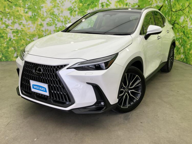 NX250 バージョンL