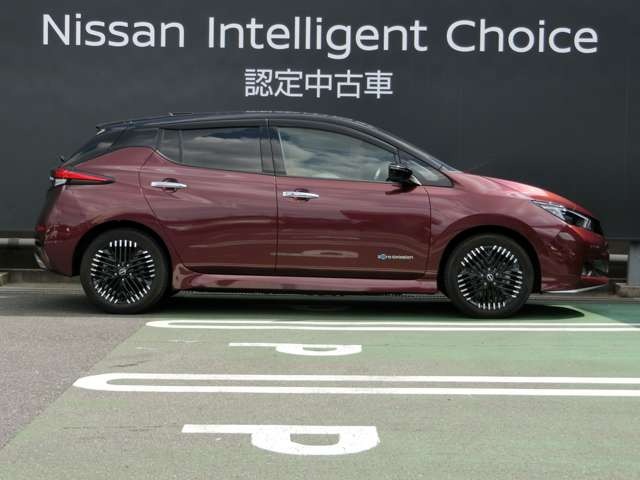 リーフe+ G
