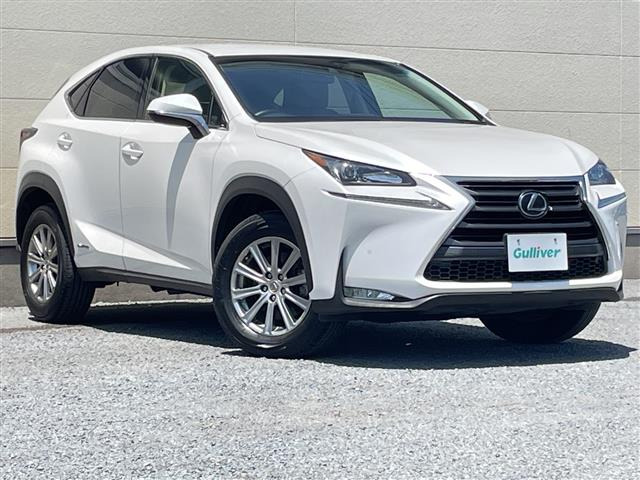 NX300h