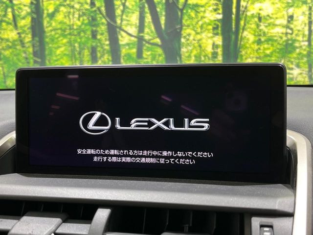 NX300 Fスポーツ