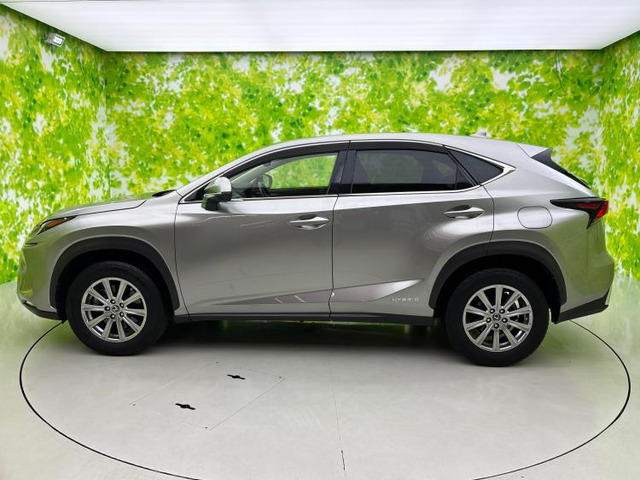 NX300h