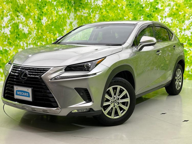 NX300h