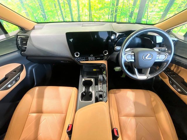 NX250 バージョンL