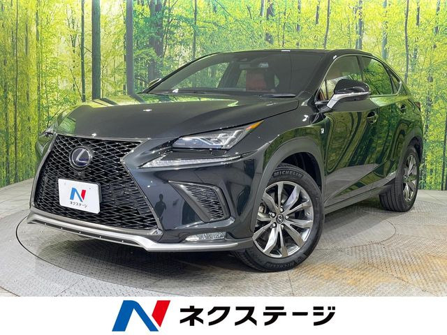 NX300h Fスポーツ