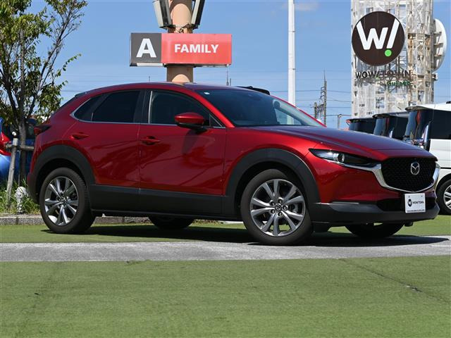 CX-302.0 20S
