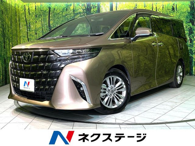�A���t�@�[�h(�g���^) 2.5 Z ���Îԉ摜