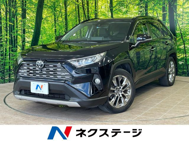 RAV42.0 G Zパッケージ 4WD