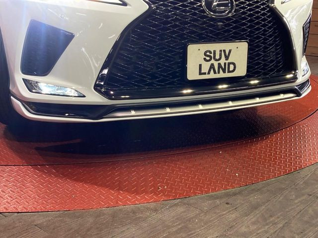 RX300 Fスポーツ