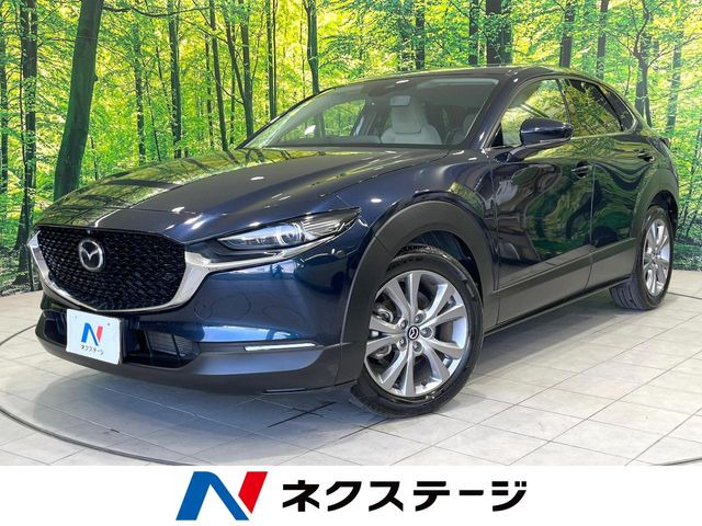 CX-302.0 20S プロアクティブ ツーリングセレクション
