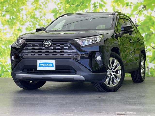 RAV42.0 G Zパッケージ 4WD