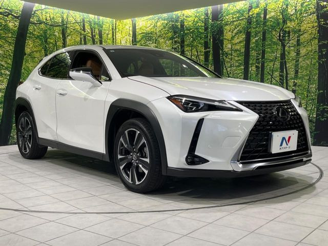 �������x�̃K���X�疌�ŝ����͂������A�㎿�ȃc���E����������B���O����_���J�����؂Ȉ��Ԃ�ی삵�A�F�����E�򉻂�h�~�B�u�e�X�v���b�V���R�[�g�v�A�u�e�v���~�b�T�R�[�g�v���炨�I�т��������܂��B