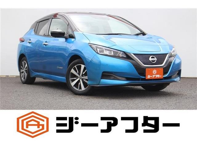 リーフe+ X