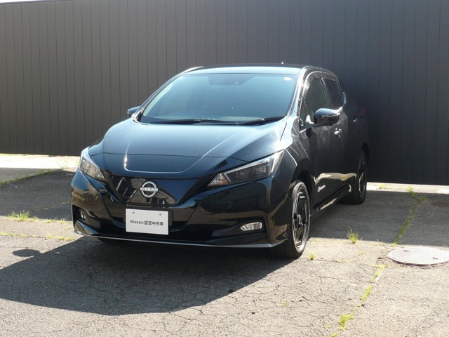 リーフe+ X