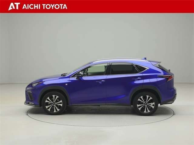 NX300 Fスポーツ 4WD