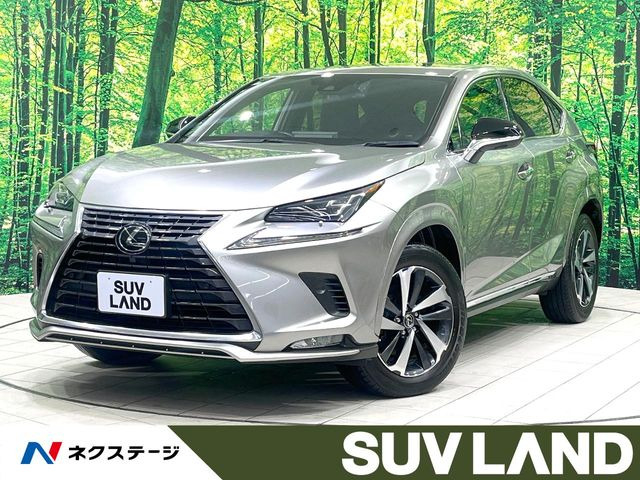 NX�i���N�T�X�j300 ���Îԉ摜