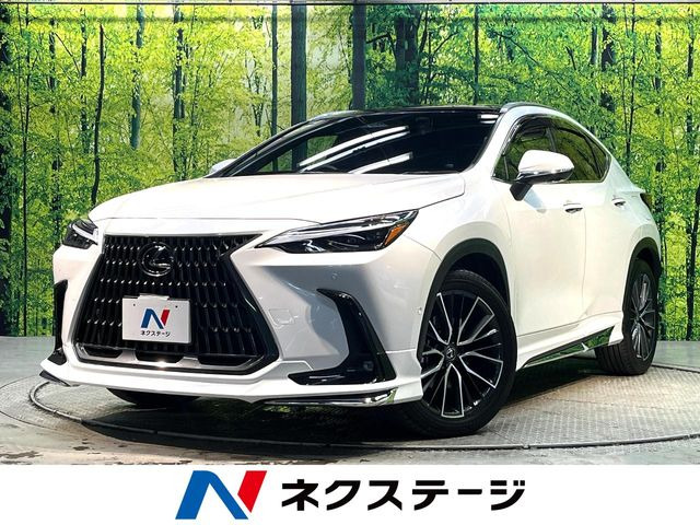 NX350h バージョンL