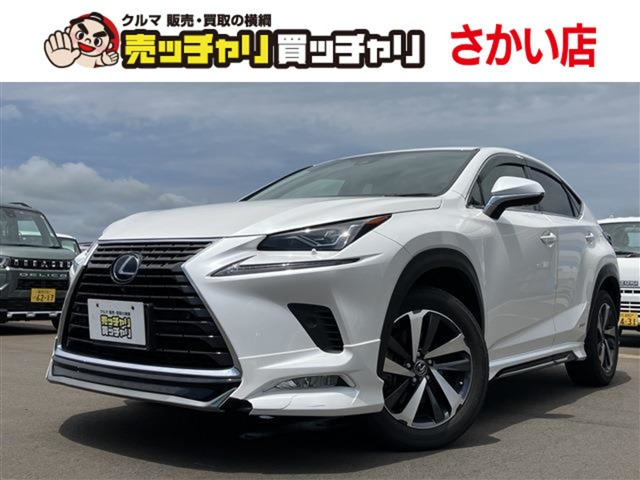 NX300h Iパッケージ