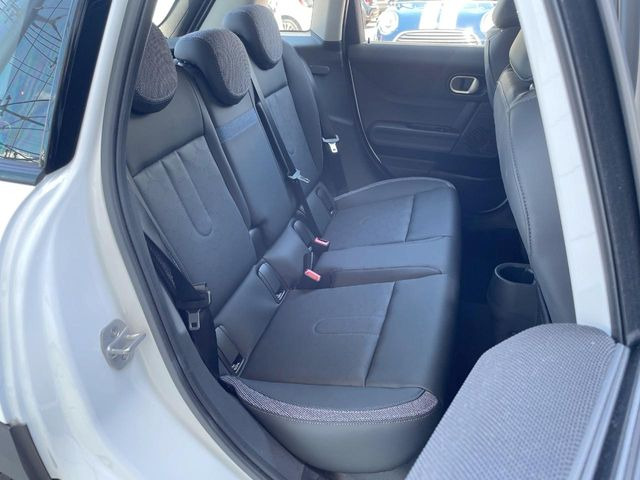���㕔���Ȃ��C�ɂȂ�悤�ȃL�Y�E�����ւ��蓙�A�傫�ȃ_���[�W�͂Ȃ��A�ǍD�ȏ�Ԃł��B