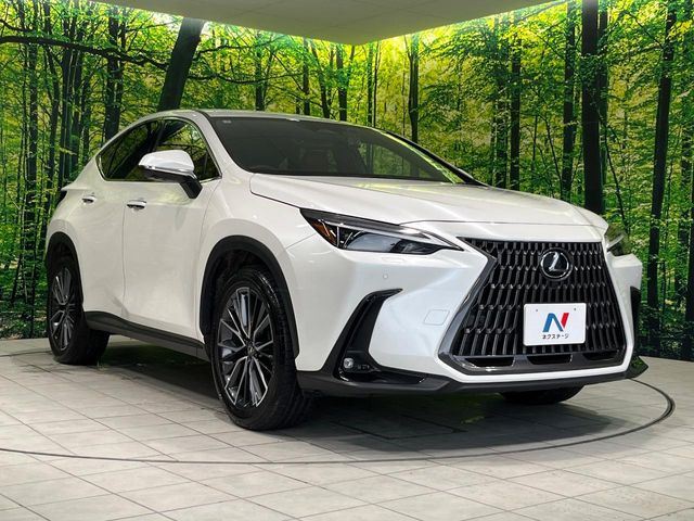 �������x�̃K���X�疌�ŝ����͂������A�㎿�ȃc���E����������B���O����_���J�����؂Ȉ��Ԃ�ی삵�A�F�����E�򉻂�h�~�B�u�e�X�v���b�V���R�[�g�v�A�u�e�v���~�b�T�R�[�g�v���炨�I�т��������܂��B