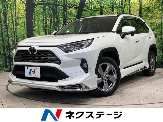 RAV4(トヨタ) 2.0 G 4WD 中古車画像