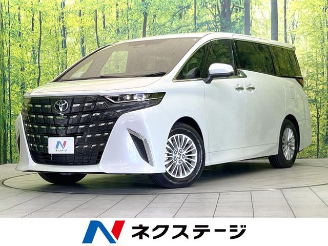 �A���t�@�[�h(�g���^) �n�C�u���b�h 2.5 X ���Îԉ摜