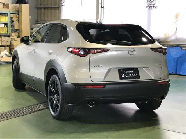 CX-302.0 20S ブラック セレクション