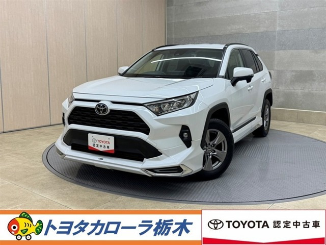 RAV42.0 X