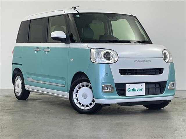 ムーヴキャンバスストライプス G
