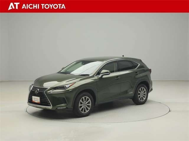 NX300h 4WD