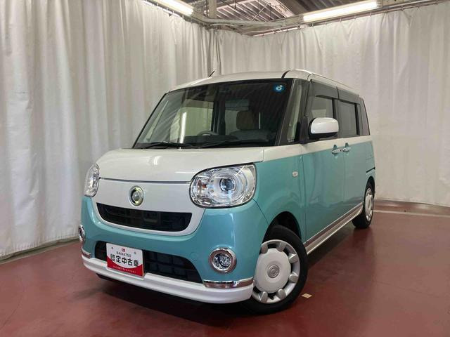 ムーヴキャンバスG メイクアップ SAIII