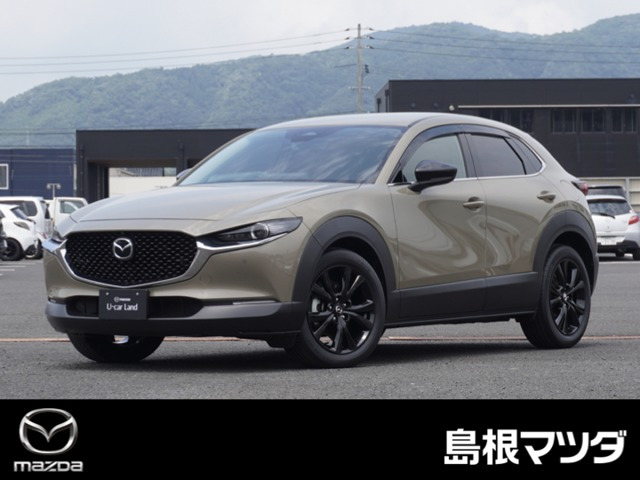 CX-30