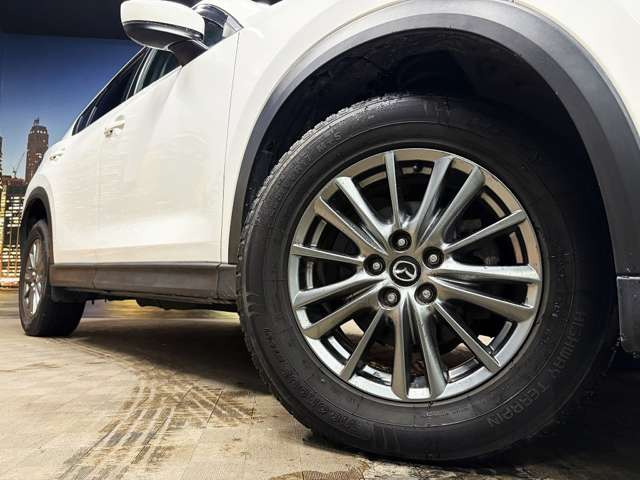 ����17�C���`�A���~�z�C�[��!�A���~�̃R�[�e�B���O��������܂�!���ꂪ���ȃA���~�z�C�[�������S�ł�!!