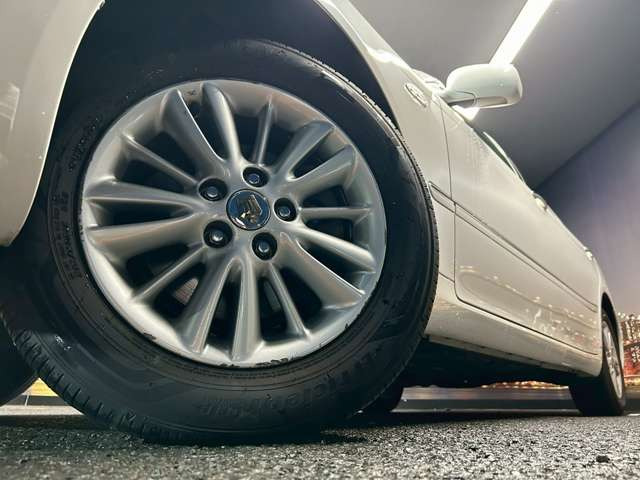 ����16�C���`�A���~�z�C�[��!�A���~�̃R�[�e�B���O��������܂�!���ꂪ���ȃA���~�z�C�[�������S�ł�!!