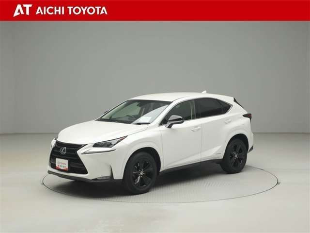 NX300h アーバンスタイル