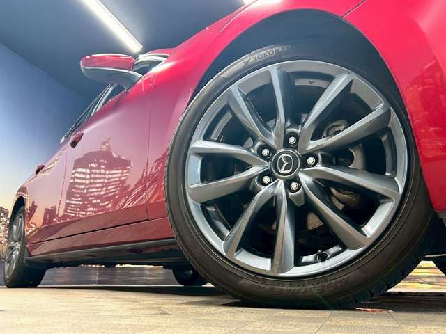 ����18�C���`�A���~�z�C�[��!�A���~�̃R�[�e�B���O��������܂�!���ꂪ���ȃA���~�z�C�[�������S�ł�!!