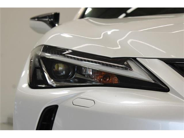 �ቿ�i�ŗǎ��Ȃ��Ԃ�S�Б���3,000�݌ɂ��炨�I�т��������܂��B�c�Ǝ��� 10:00�`19:00
