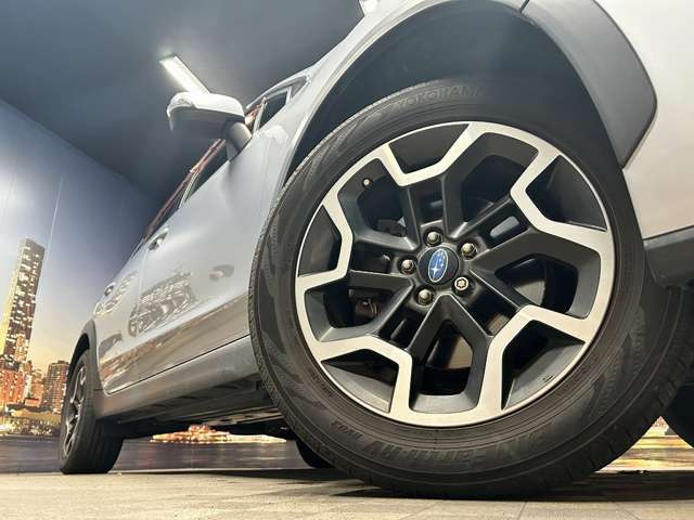 ����17�C���`�A���~�z�C�[��!�A���~�̃R�[�e�B���O��������܂�!���ꂪ���ȃA���~�z�C�[�������S�ł�!!