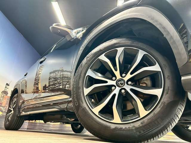 ����18�C���`�A���~�z�C�[��!�A���~�̃R�[�e�B���O��������܂�!���ꂪ���ȃA���~�z�C�[�������S�ł�!!