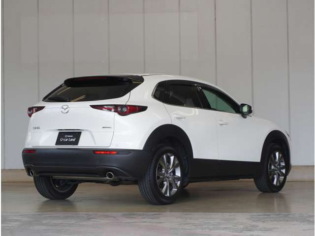 CX-302.0 20S プロアクティブ ツーリングセレクション