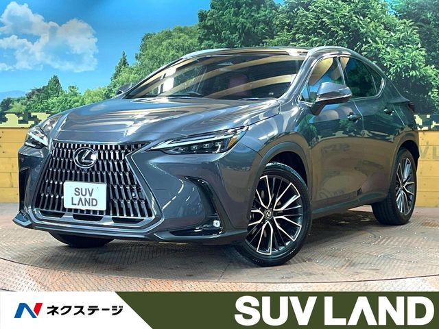 NX350h バージョンL