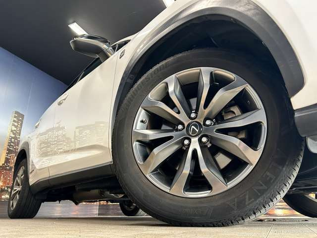 ����18�C���`�A���~�z�C�[��!�A���~�̃R�[�e�B���O��������܂�!���ꂪ���ȃA���~�z�C�[�������S�ł�!!