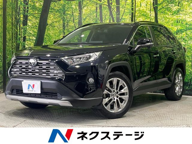 RAV4(トヨタ) 2.0 G Zパッケージ 4WD 中古車画像