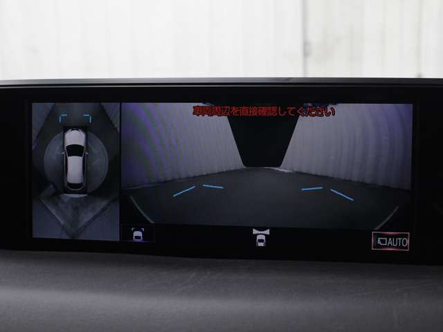 UX250h Fスポーツ