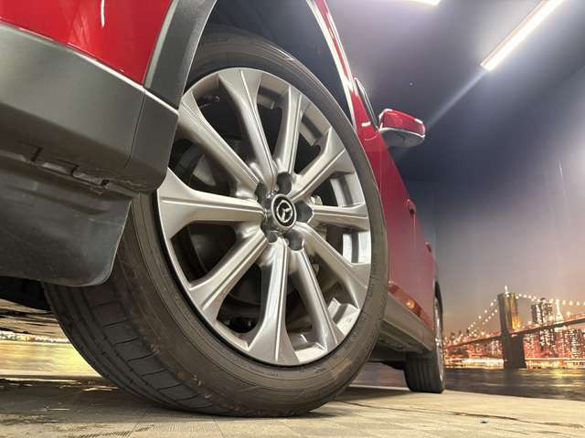 ����20�C���`�A���~�z�C�[��!�A���~�̃R�[�e�B���O��������܂�!���ꂪ���ȃA���~�z�C�[�������S�ł�!!